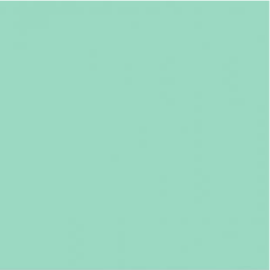 Turbo-Flex Mint HTV